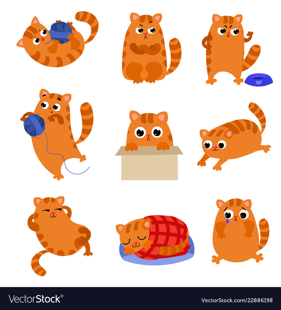 Set of cute kitten with different emotions Vector Image