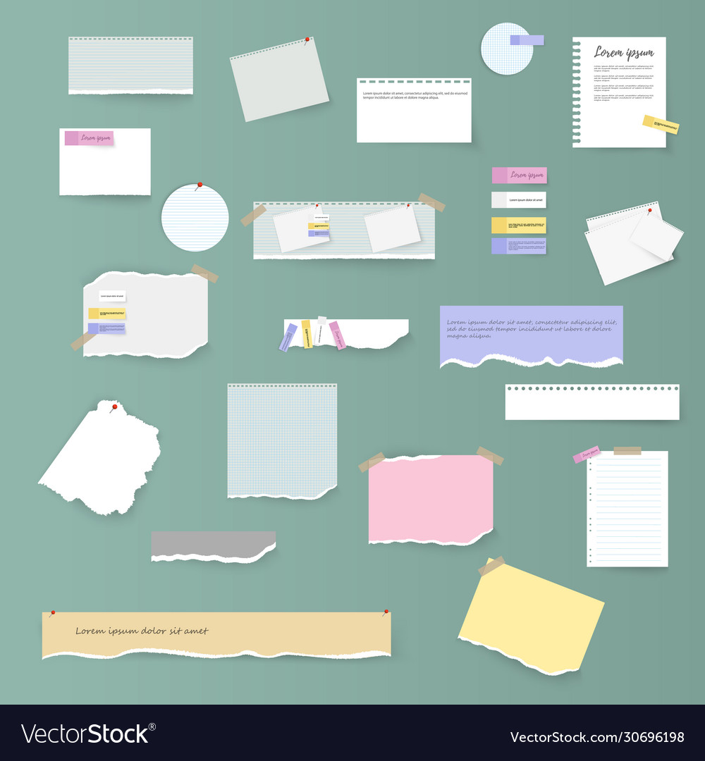 Torn sheets notebook Vector Image Torn sheets notebook