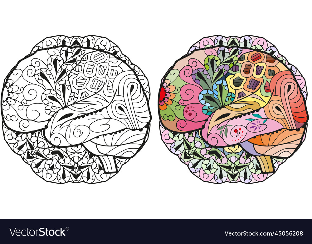 Brain image in entangle style on mandala