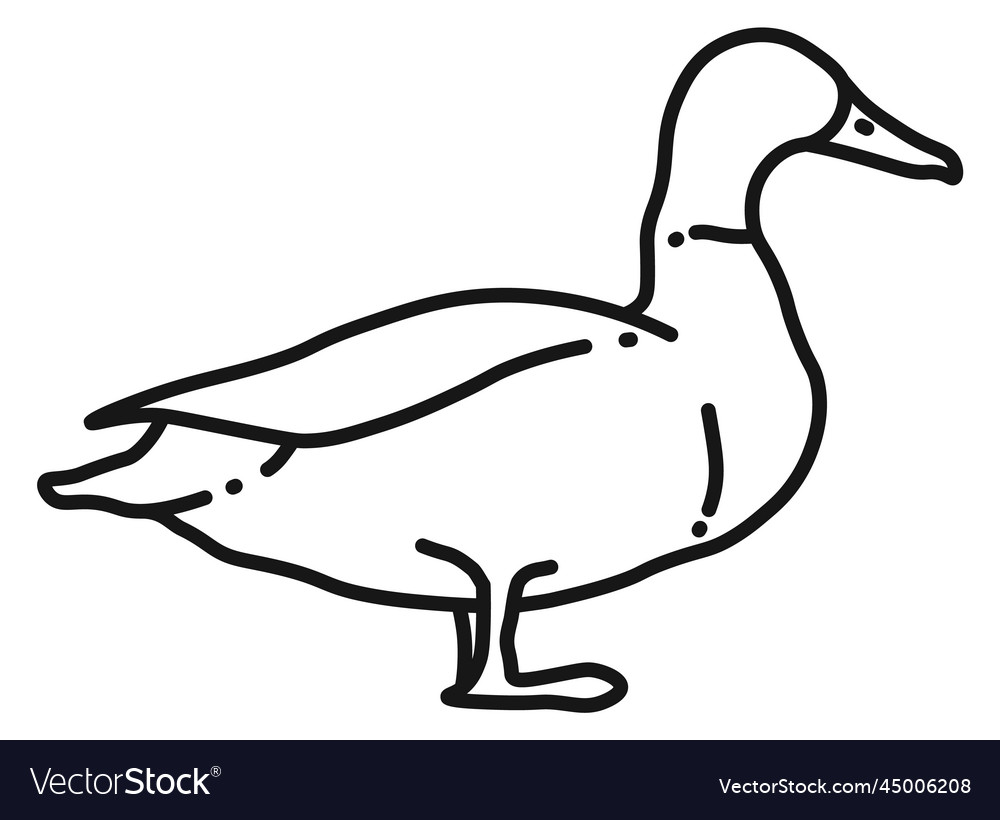 Duck icon black line farm bird symbol Royalty Free Vector