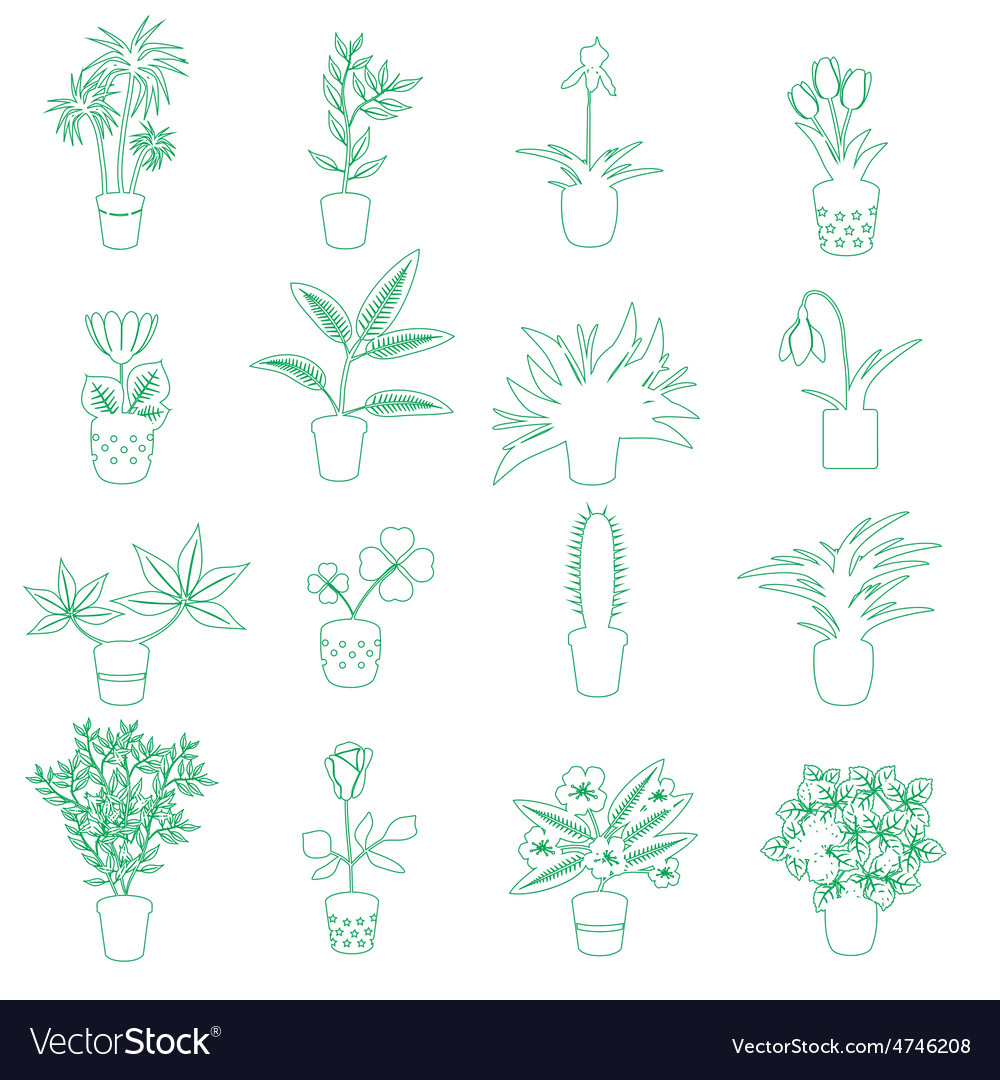 Home houseplants and flowers in pot outline icons