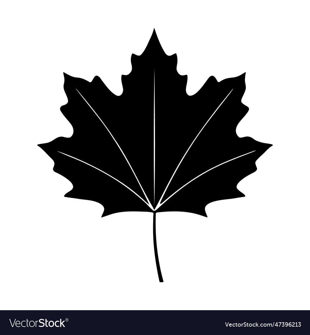 Maplle leaf silhouette logo isolated on white Vector Image