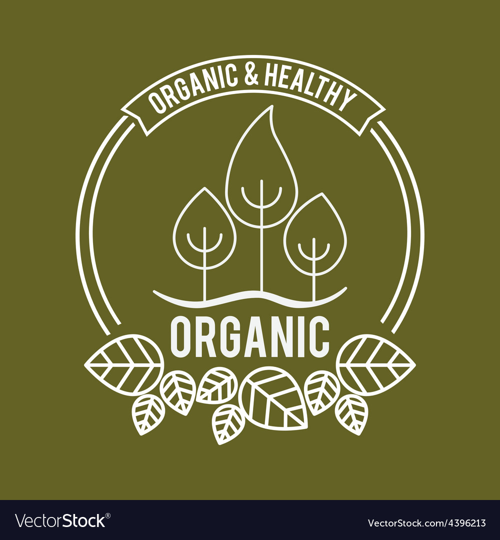 Organic food design Royalty Free Vector Image - VectorStock