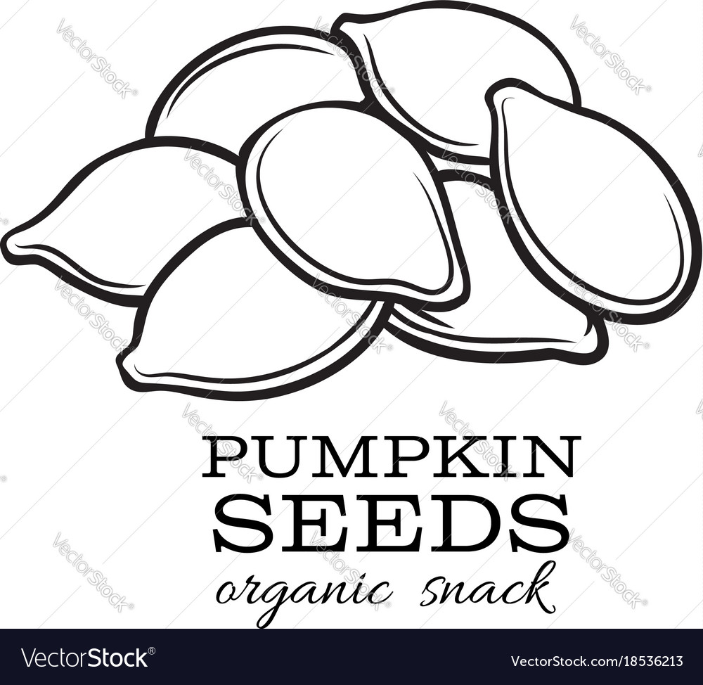 pumpkin seeds clip art black and white