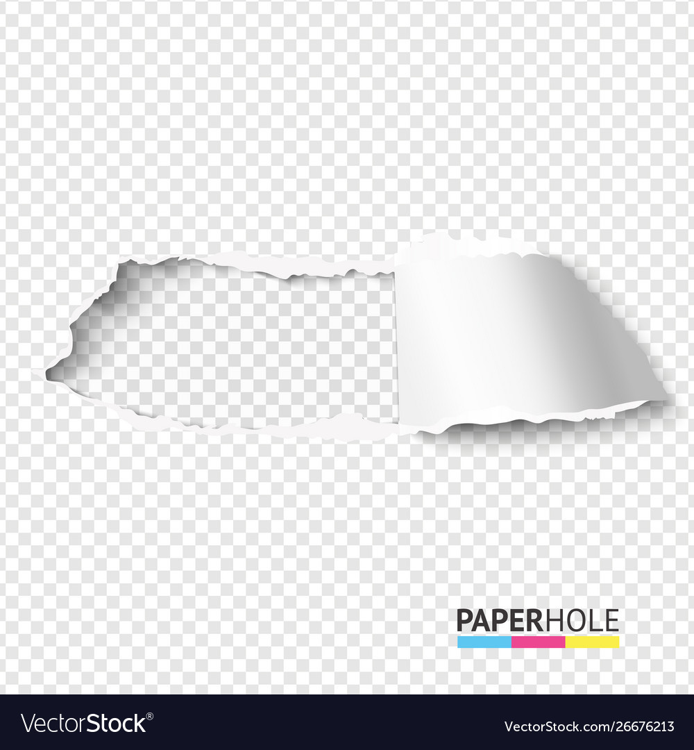 Rip paper hole on transparent background Vector Image