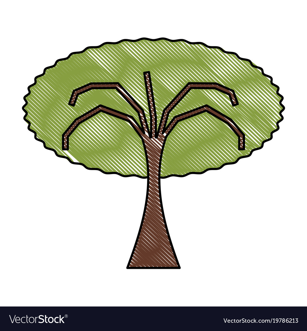 Tree icon image