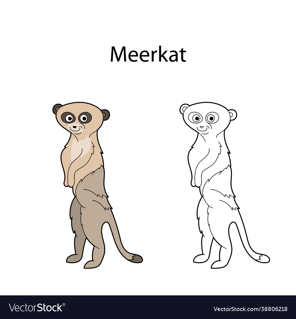Lustige niedliche Tier meerkat isoliert auf weiß vector image Lustige niedliche Tier meerkat isoliert auf weiß
