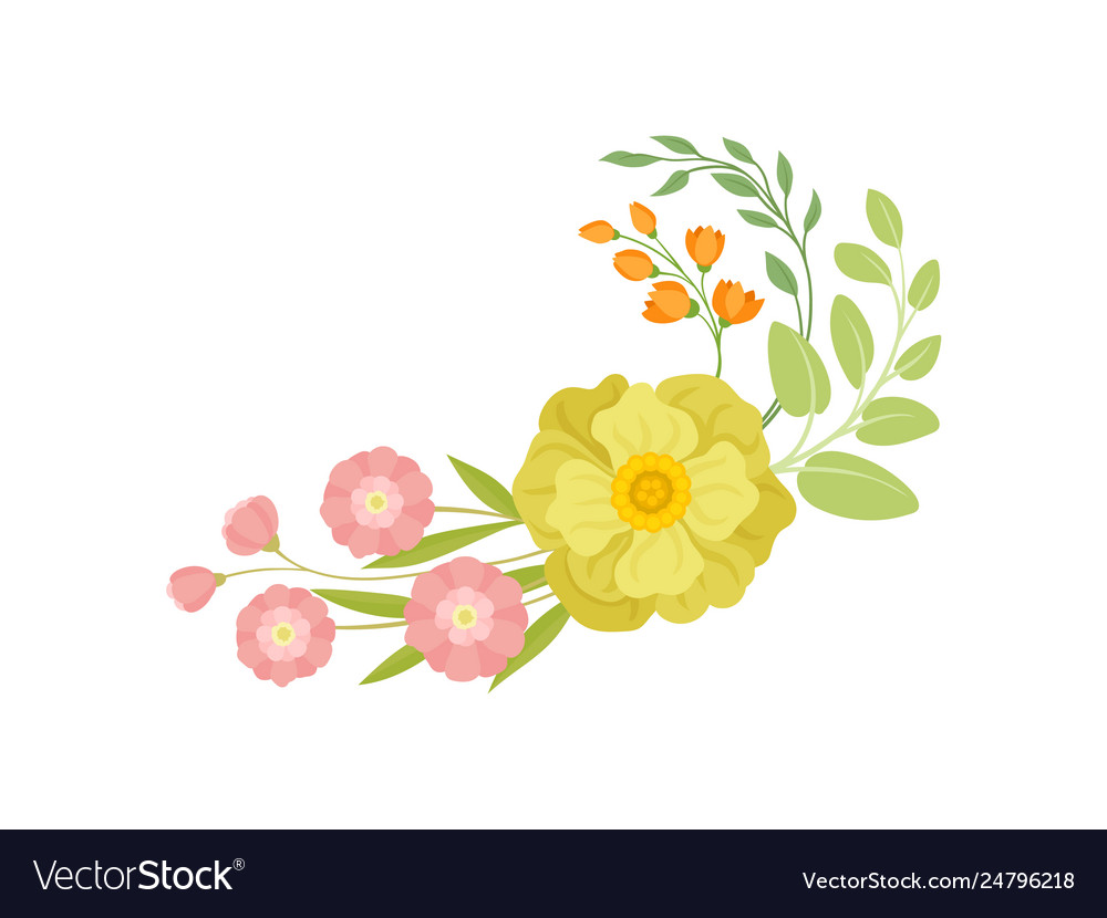 Spring flowers on white background floral concept Vector Image