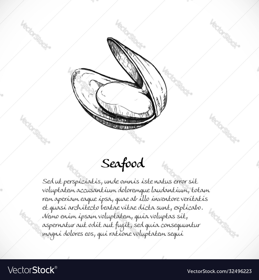 Background for your text with doodles on a teme Vector Image Background for your text with doodles on a teme