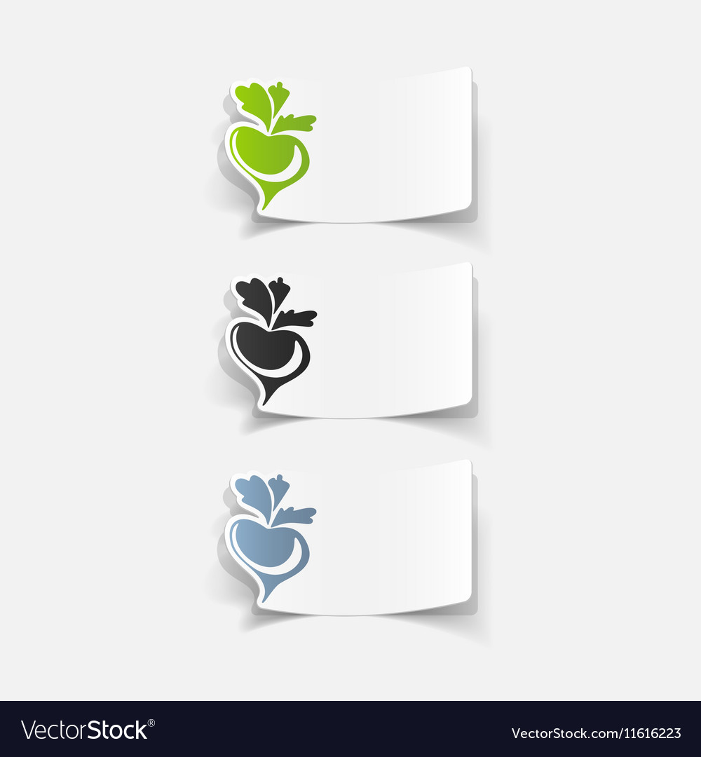 Realistic design element beet