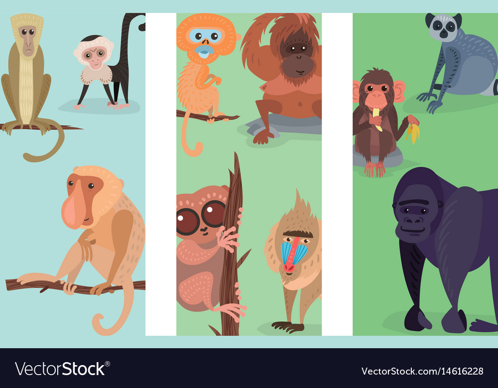 Different breads monkey print cards character