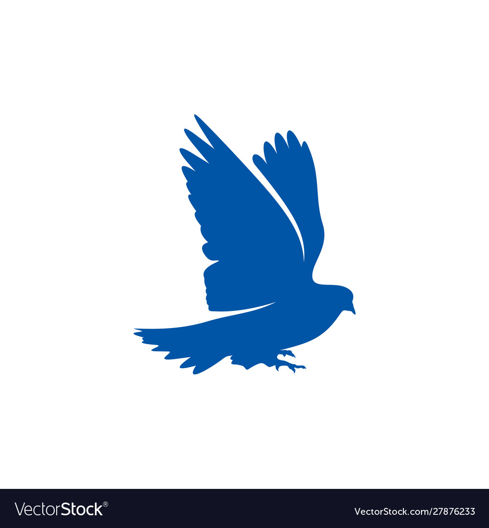 Dove logo design concept bird template icon Vector Image