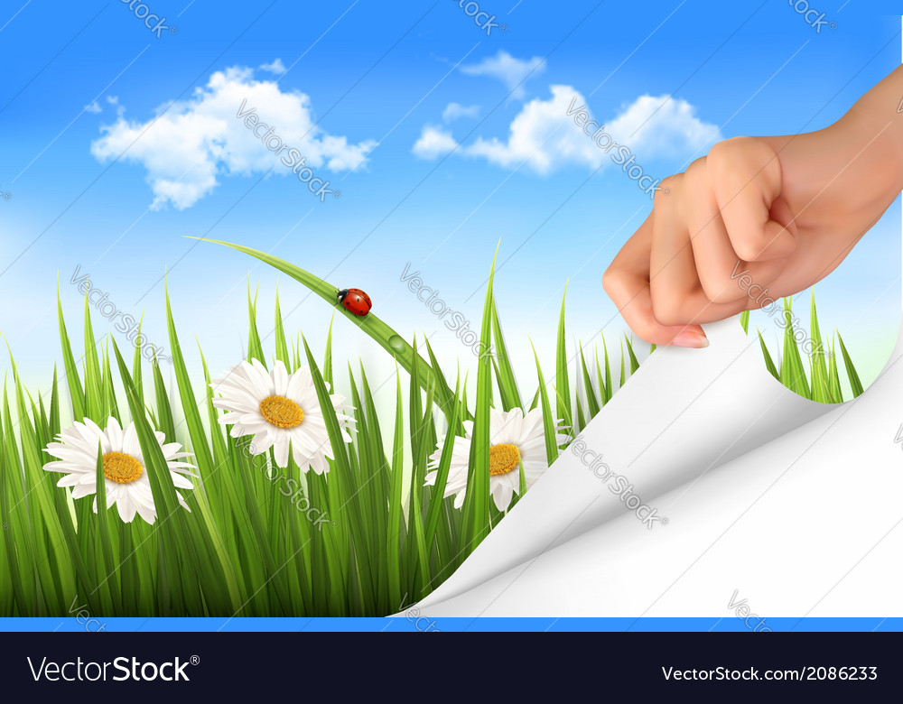 green grass blue sky flowers mountain spring background with sky flowers grass and vector image green grass blue sky flowers mountain spring background with sky flowers grass and vector image