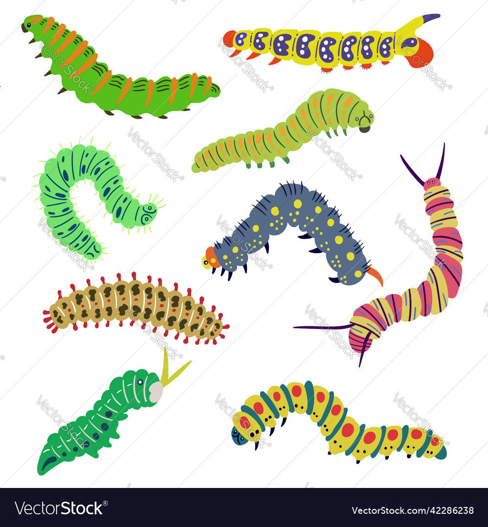 A set of isolated bright caterpillars drawn Vector Image