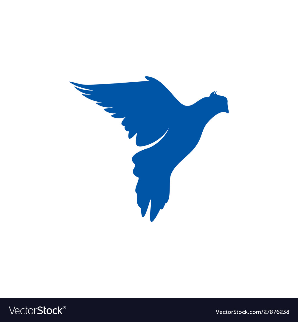 Dove logo design concept bird template icon Vector Image