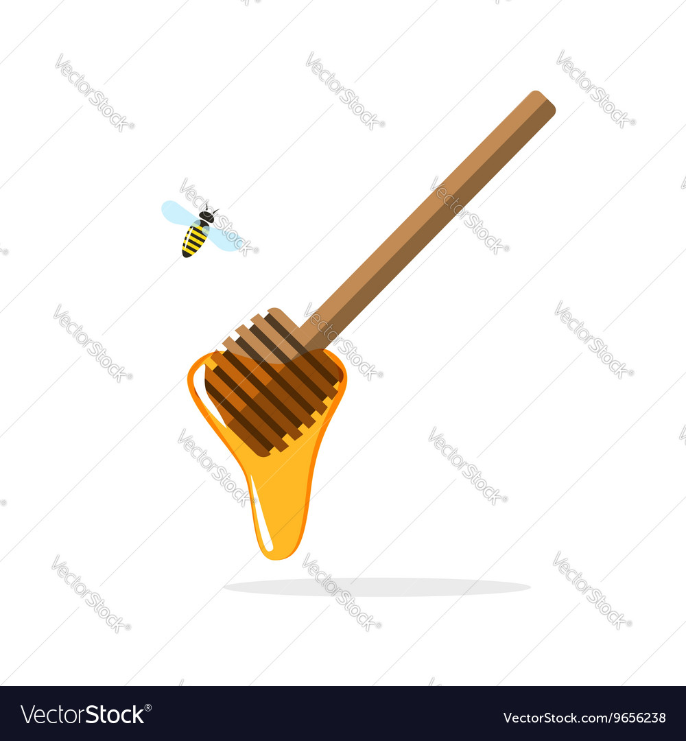 Honey dipper wooden stick amd flowing drop Vector Image