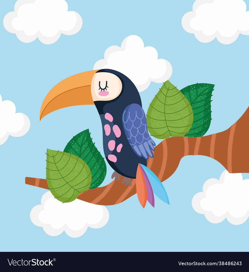 Toucan bird on a branch