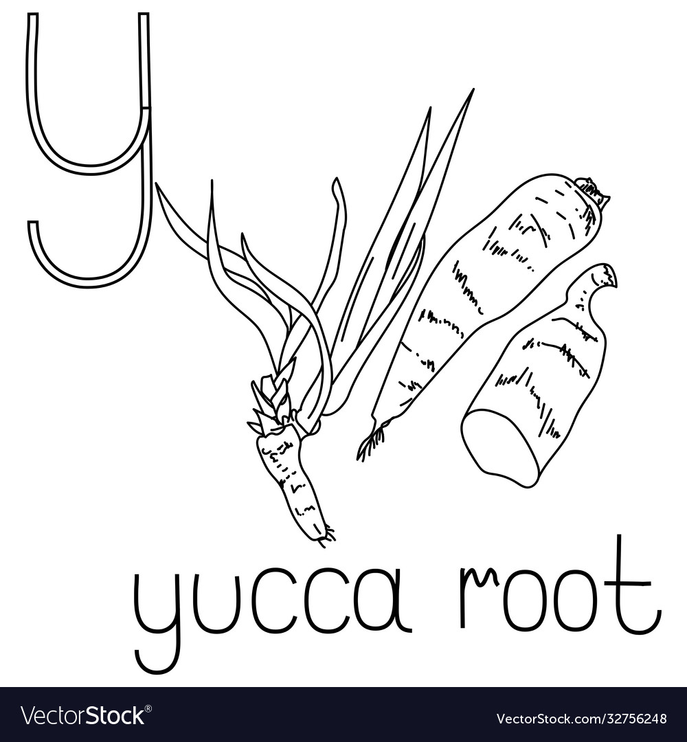 Coloring page fruit and vegetable abc letter y