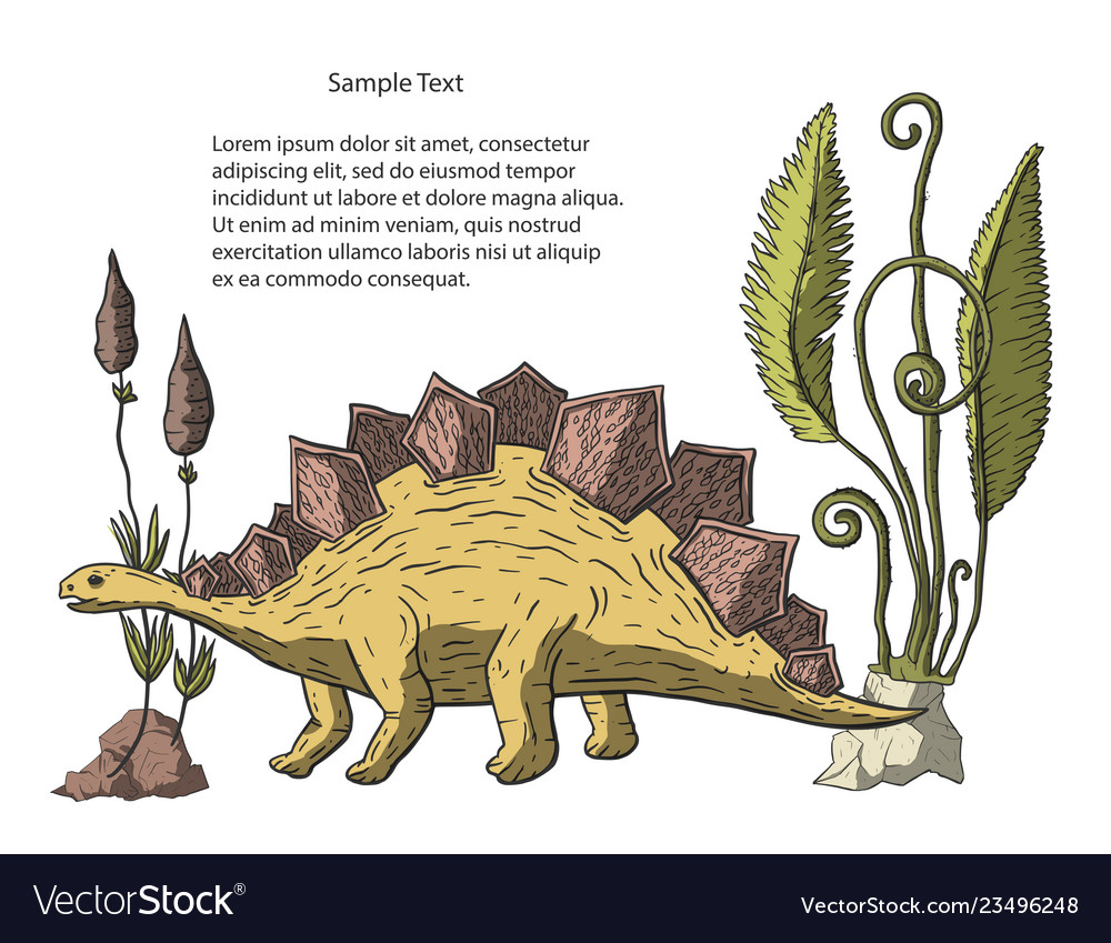 Stegosaurus dinosaur