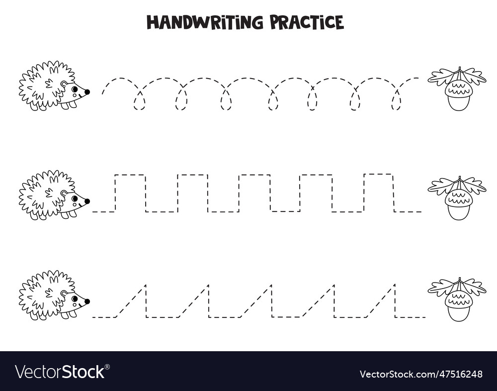 Tracing lines for kids cartoon cute hedgehog Vector Image