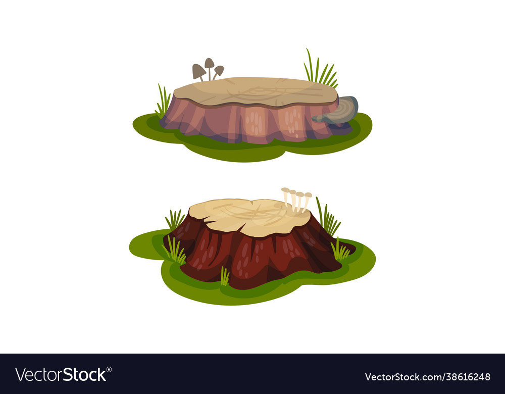 Tree stump as small part trunk with roots vector image Tree stump as small part trunk with roots