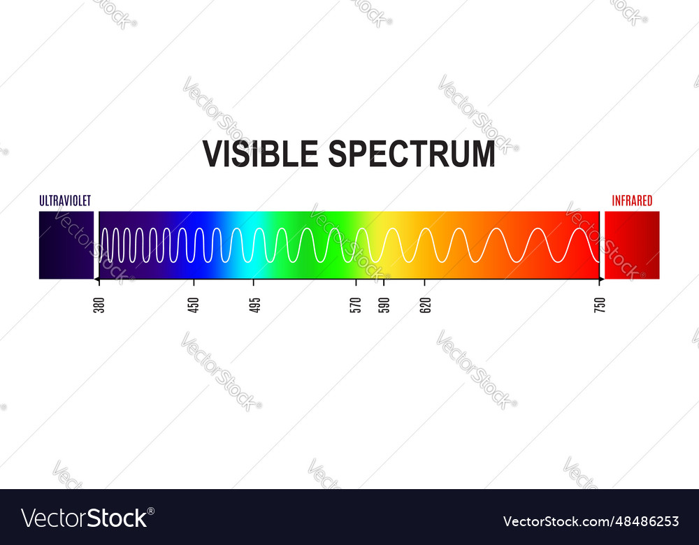 Wavelength Visible Light Spectrum Wave Graph Vector Image