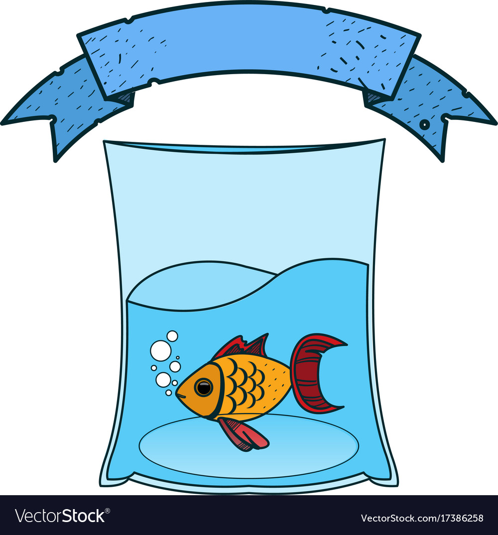 Fish in a bag to transport the colored