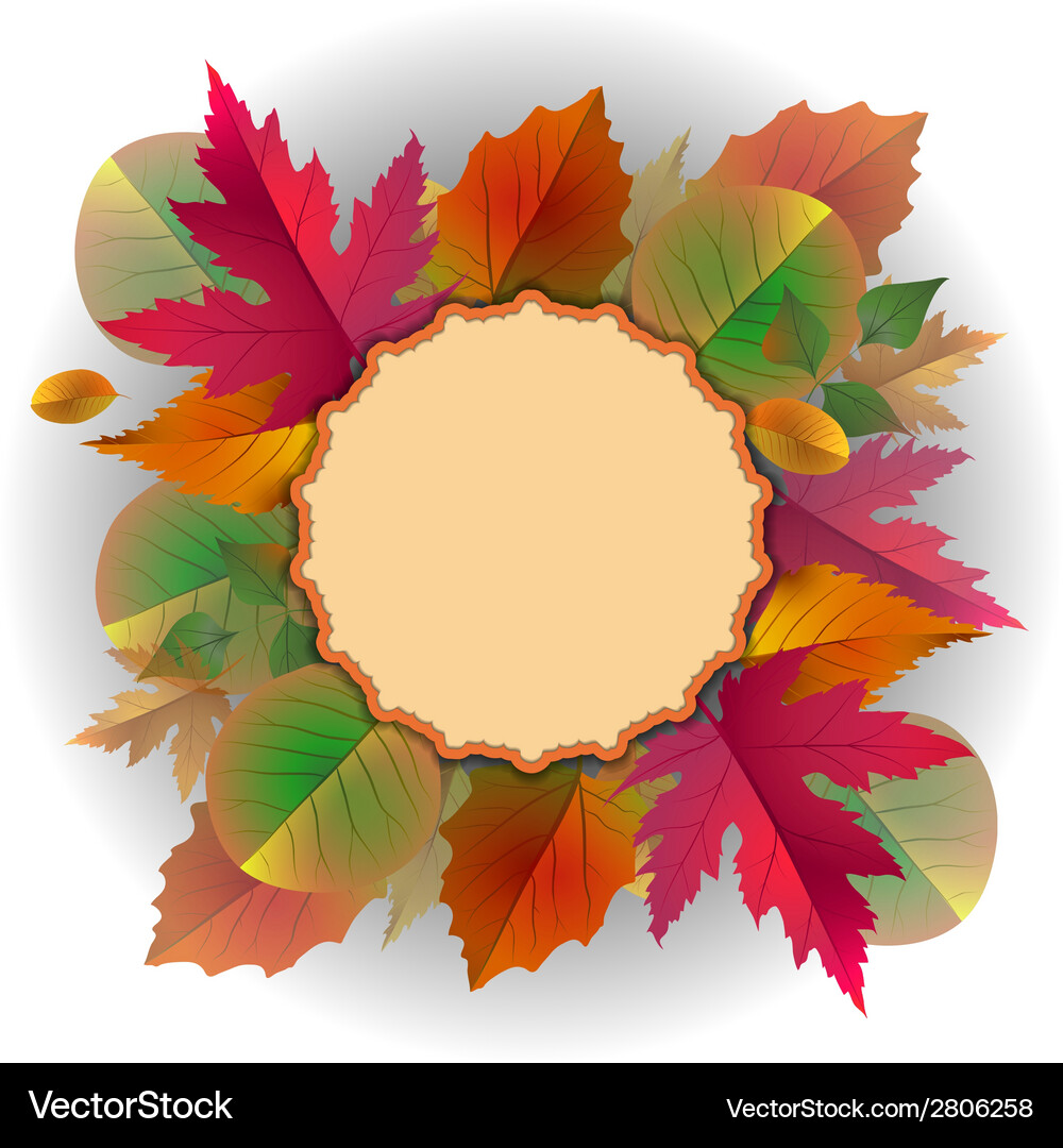 Lace frame with autumn leaves Royalty Free Vector Image