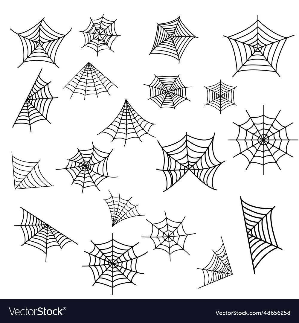 Web spider cobweb icons set icon