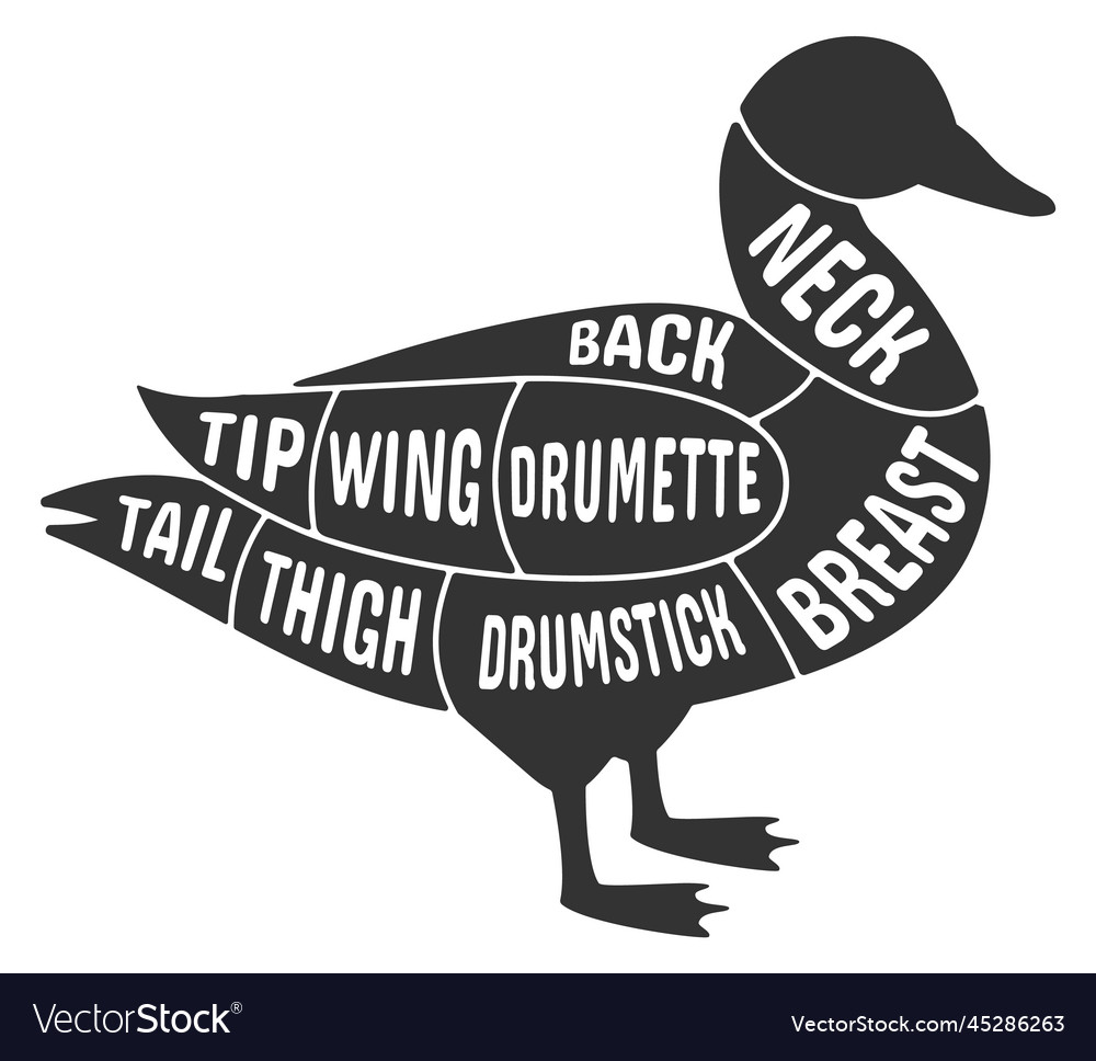 Duck meat butcher diagram cut scheme Royalty Free Vector