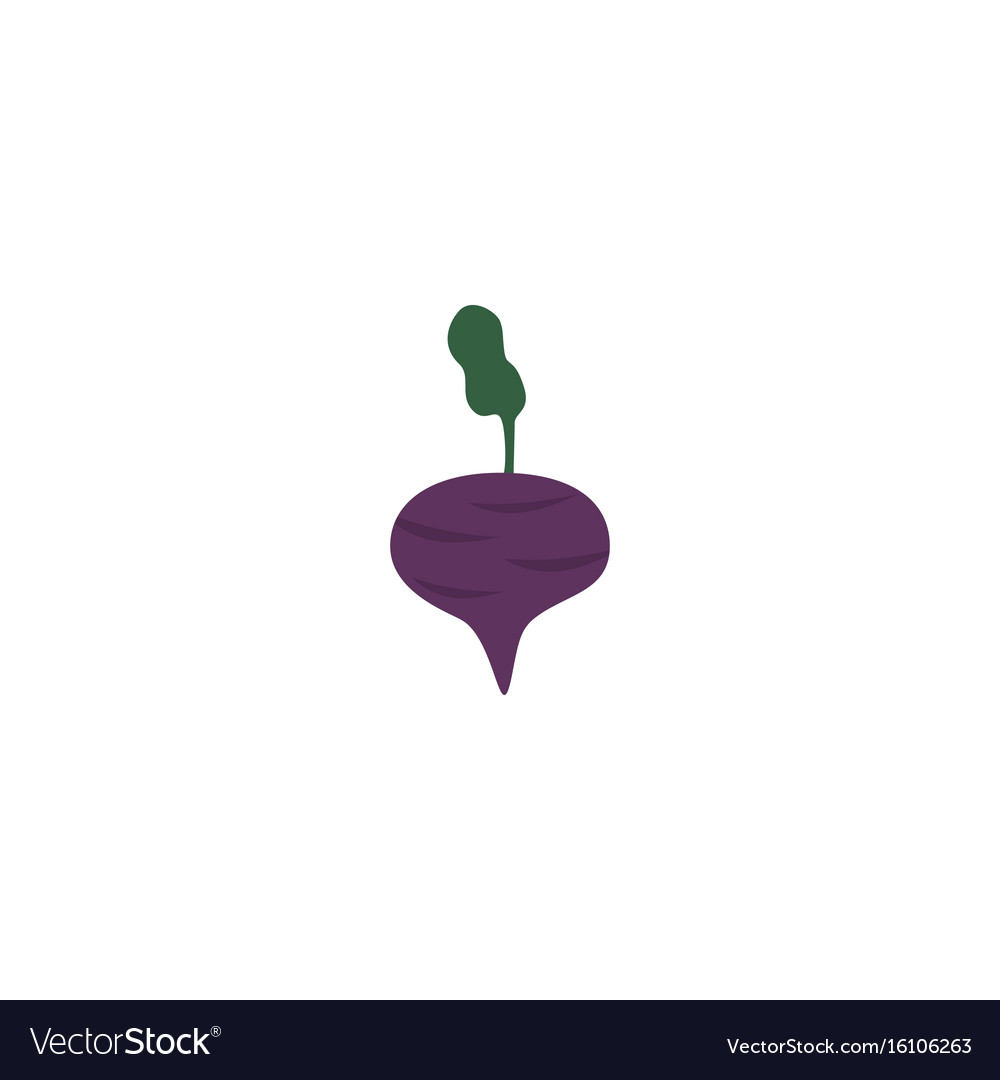 Flat icon beet element