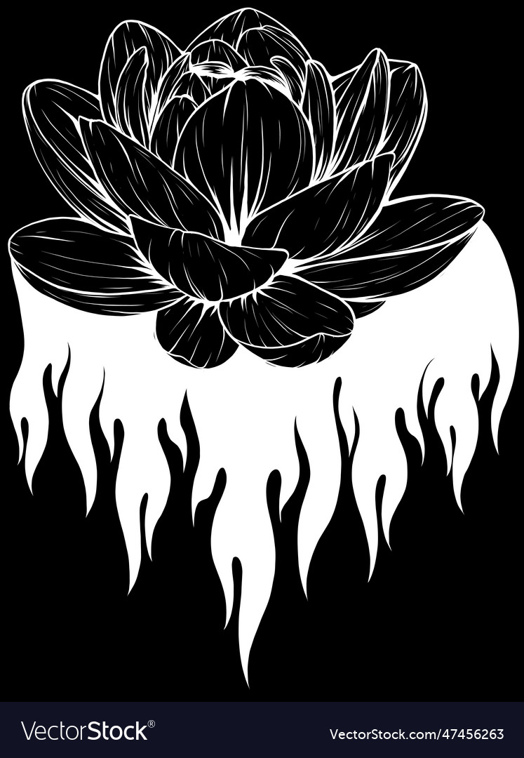 Lotus Flower In White Line On Black Background Vector Image