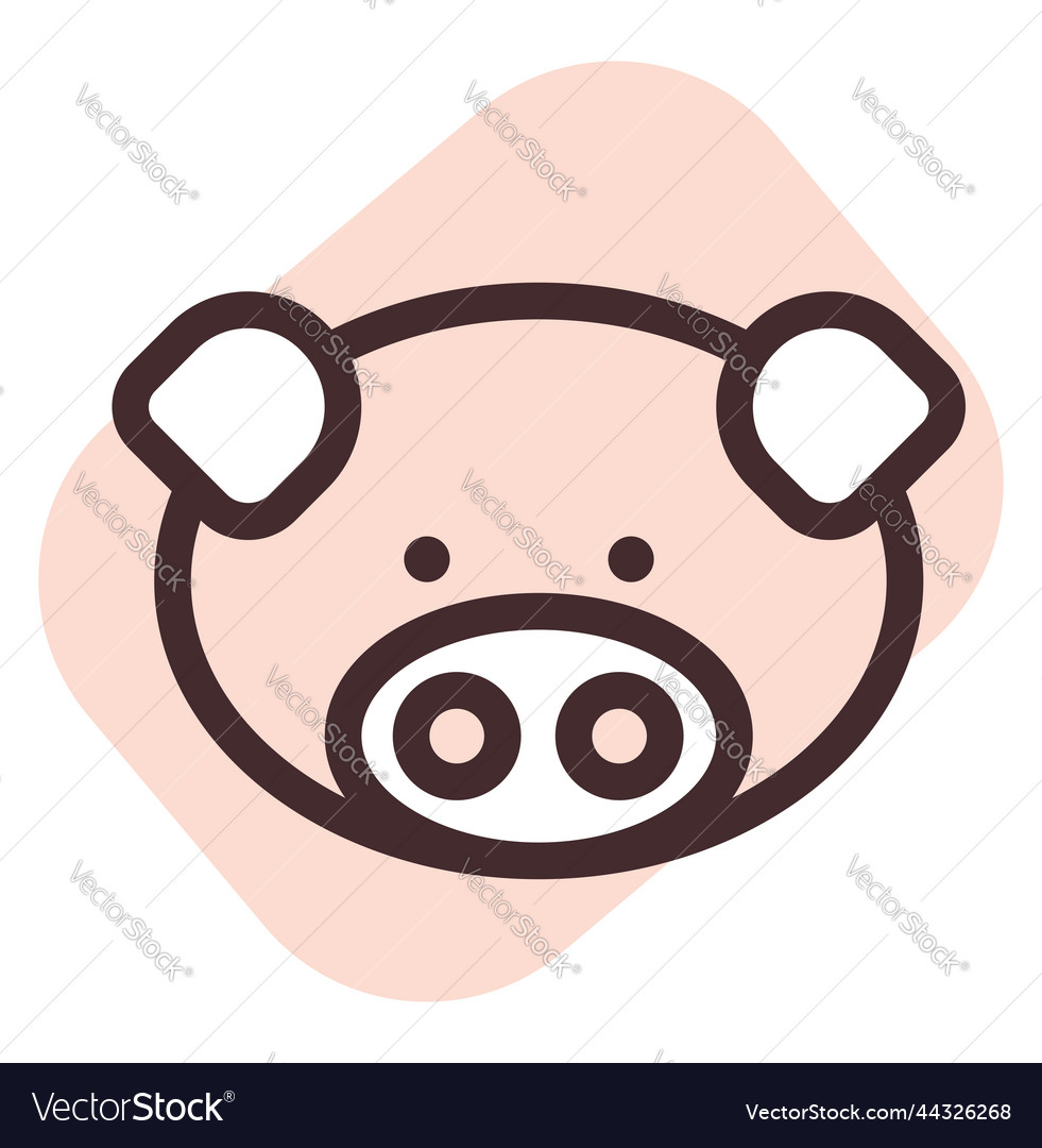 Brown pig head on a white background