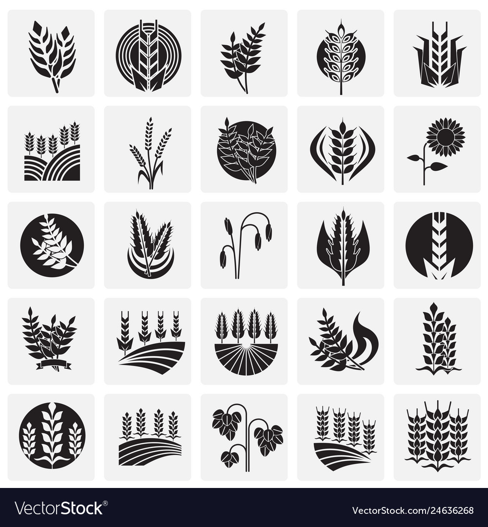 Cereal Icon Set - Grain & Breakfast