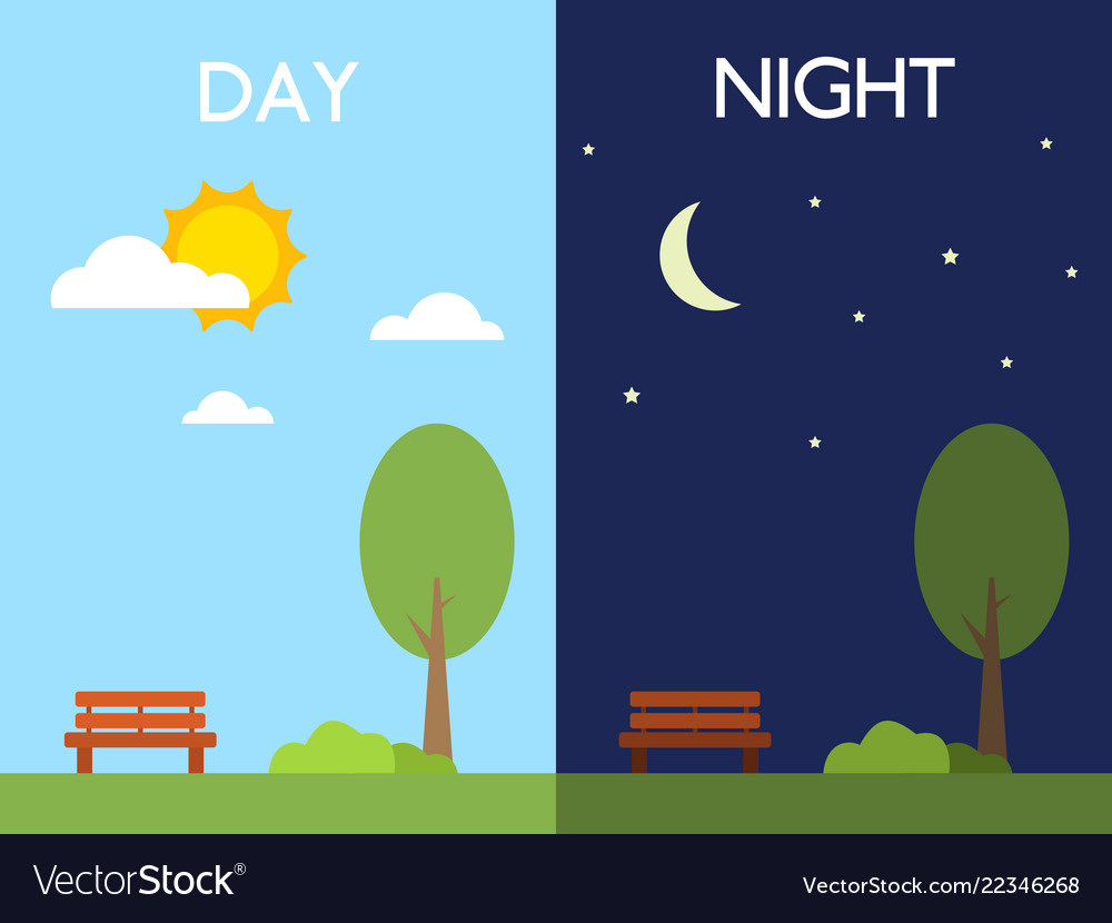 day-and-night-concept-sun-and-moon-tree-and-vector-image