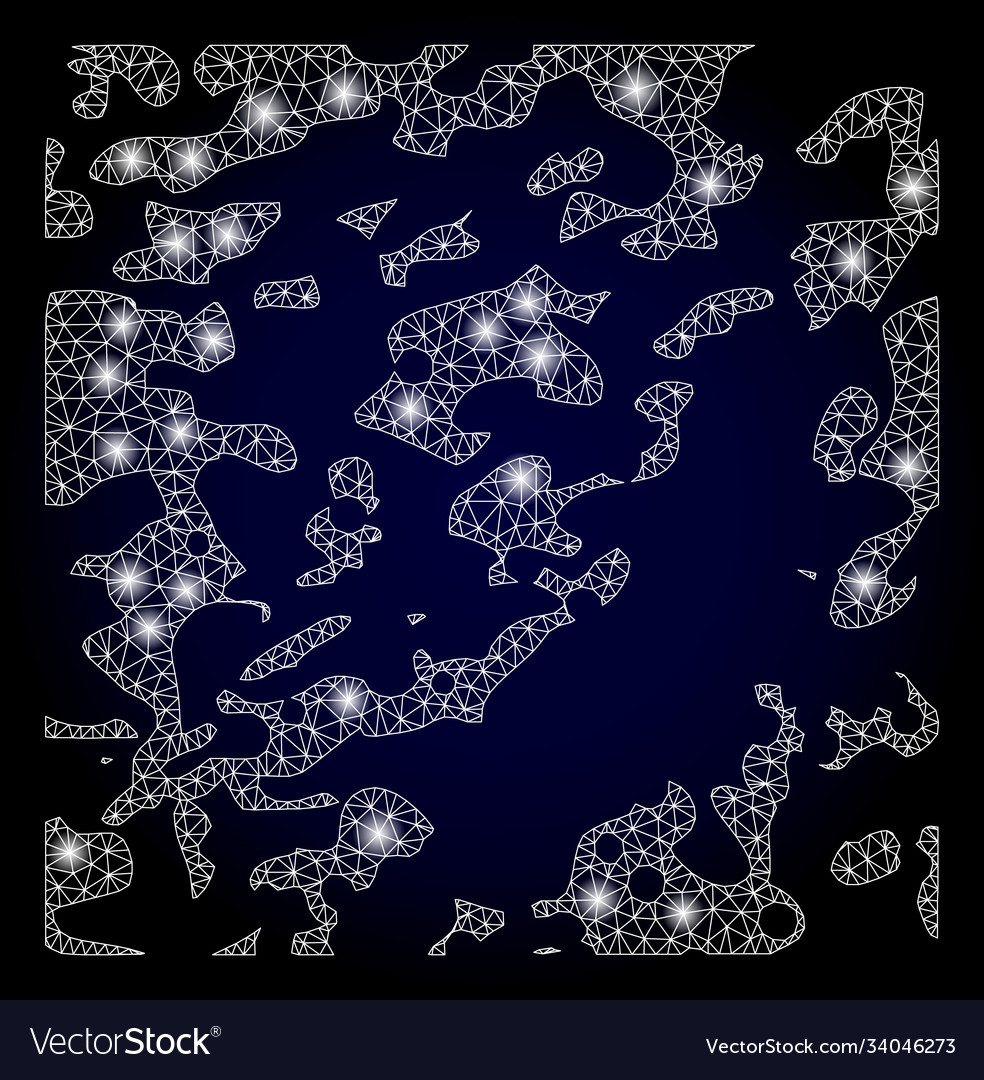 Bright web net destructed with light spots vector image Bright web net destructed with light spots