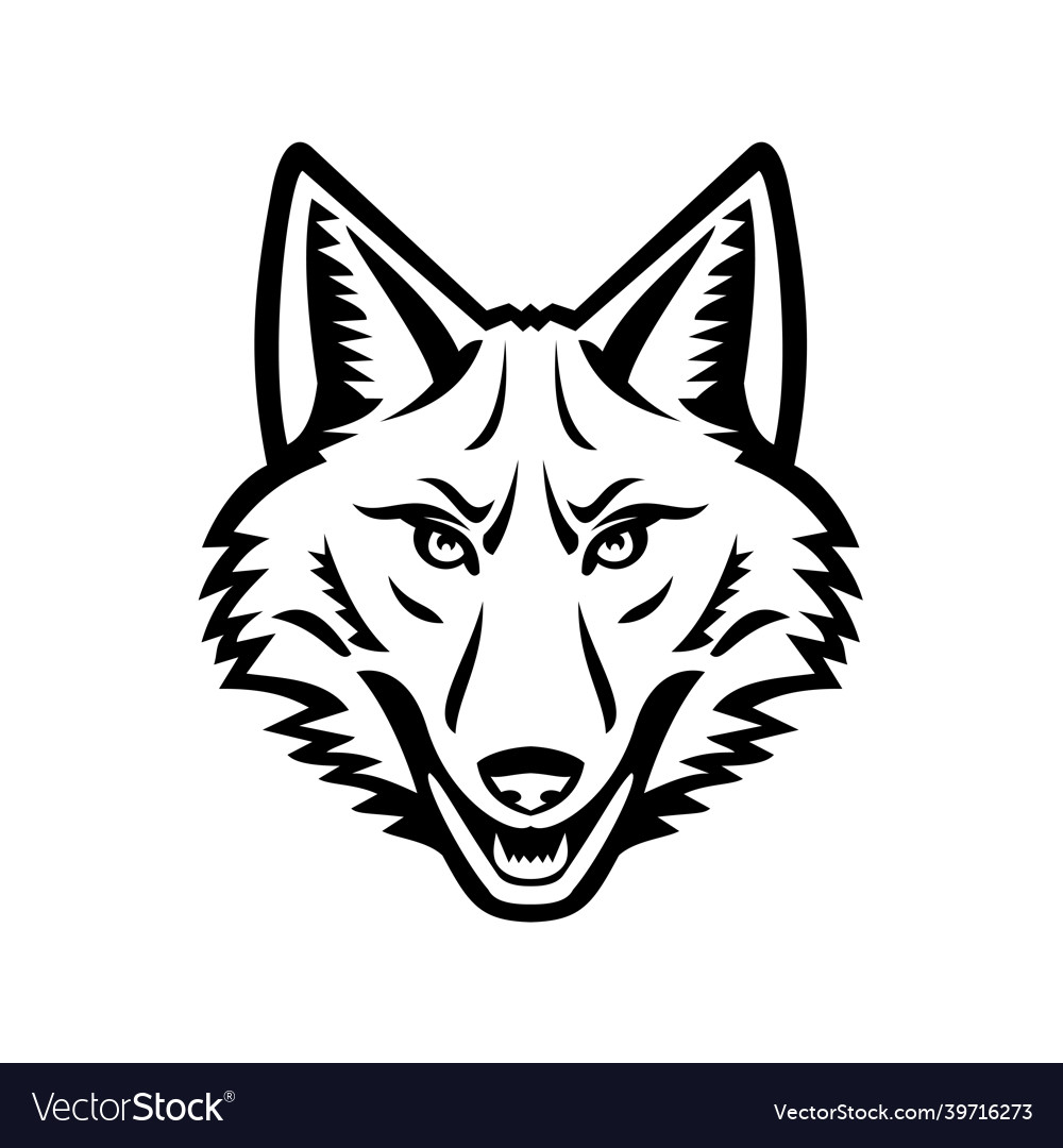 Head of a coyote front view mascot black and white