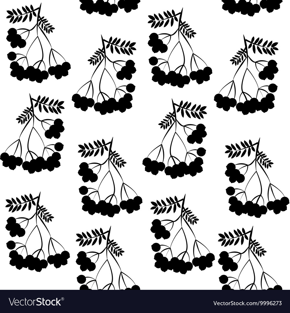 Seamless pattern background with rowanberrys