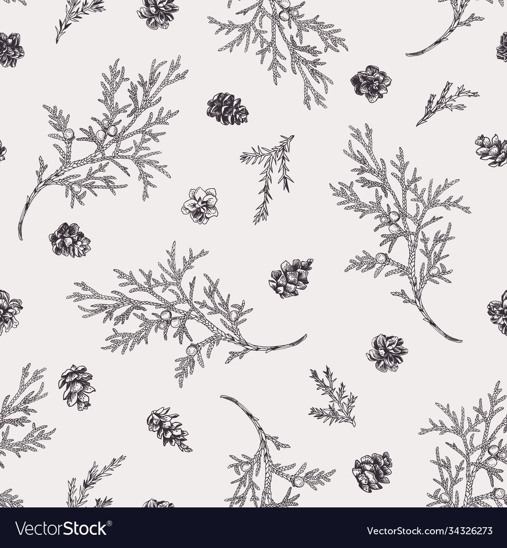 Seamless pattern with juniper branches vector image Seamless pattern with juniper branches
