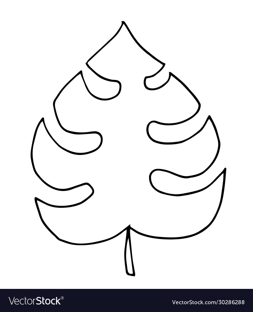 Hand drawn doodle monstera tropical leaf icon Vector Image