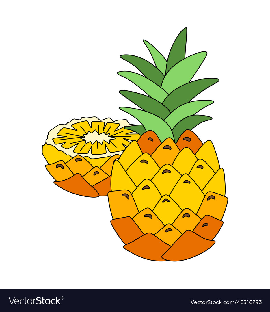 Pineapple doodle linear color isolated on white Vector Image