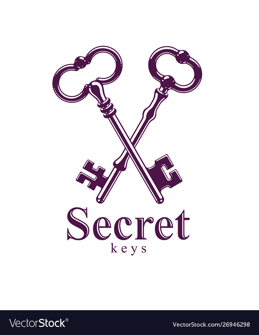 Crossed keys protected secret electronic data vector image Crossed keys protected secret electronic data