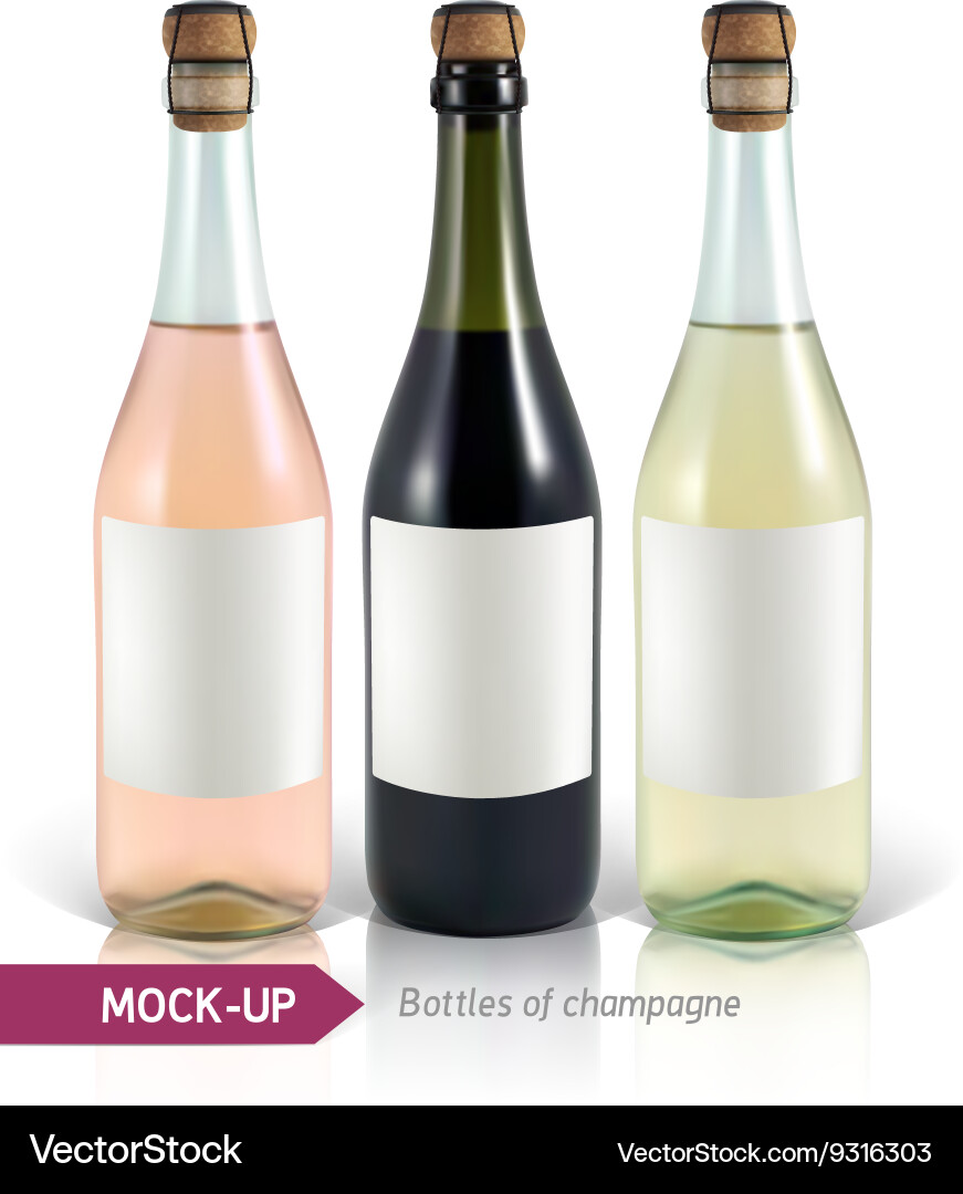 Bottles of champagne Royalty Free Vector Image