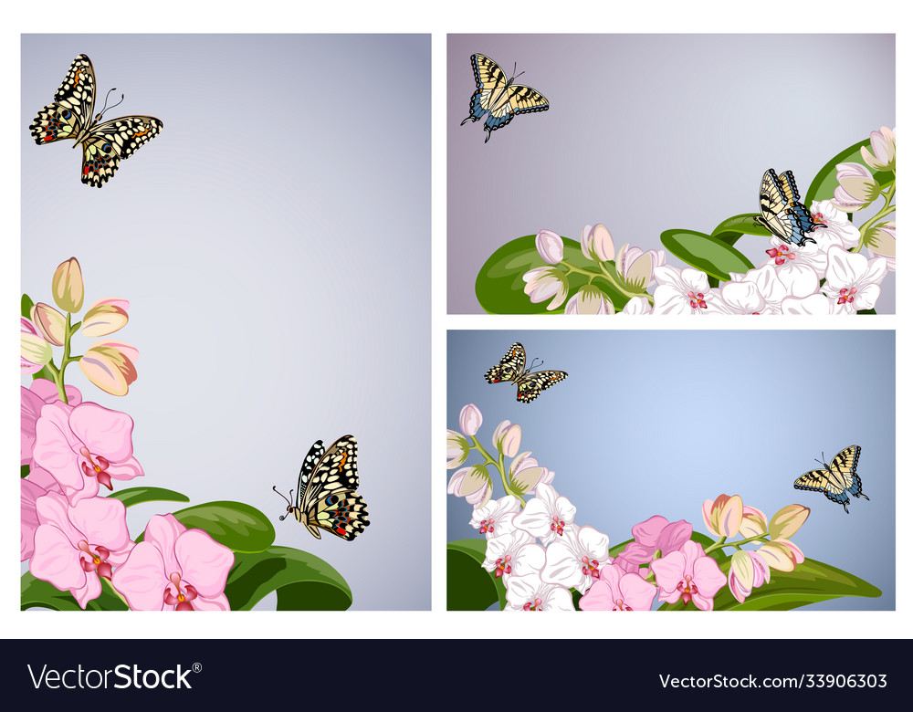 Set with orchids Vector Image Set with orchids