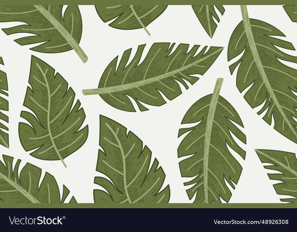 Decorative tropical flat leaf of monstera