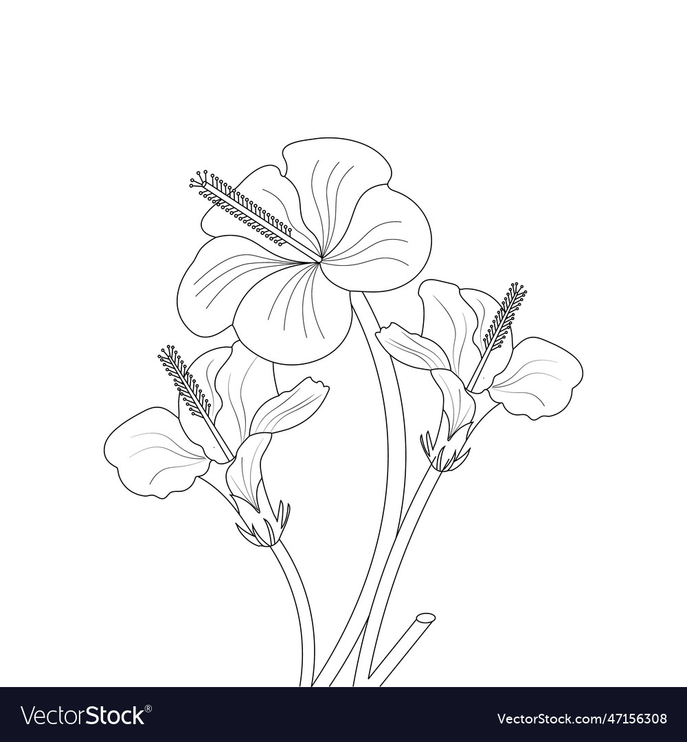 Flower drawing coloring page with doodle art line Vector Image