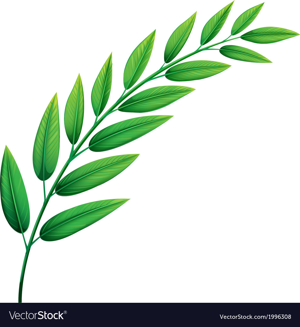 Green leaves