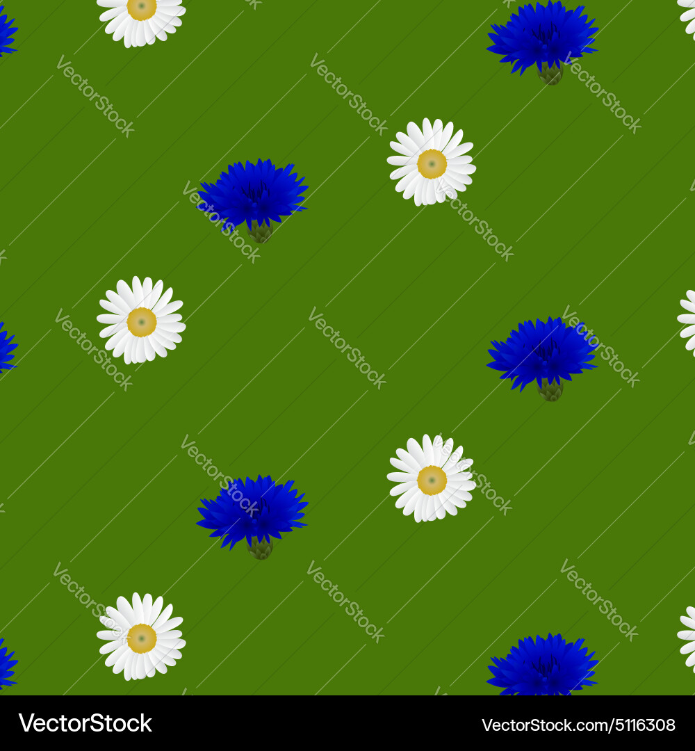 Seamless pattern with flowers chamomile Royalty Free Vector