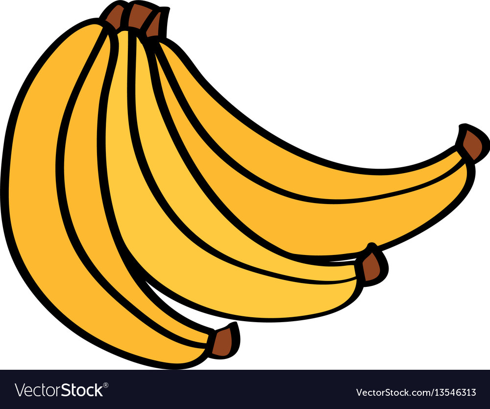 Banana Cartoon Line Isolated Icon Fresh Healthy Fruit Vector Illustration  20230863 Vector Art at Vecteezy