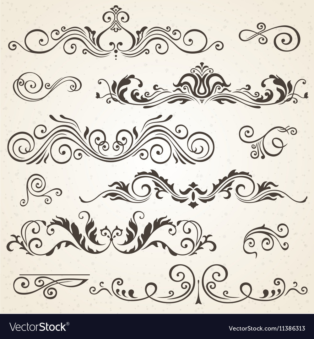 Elegant Calligraphic Swirls & Ornaments